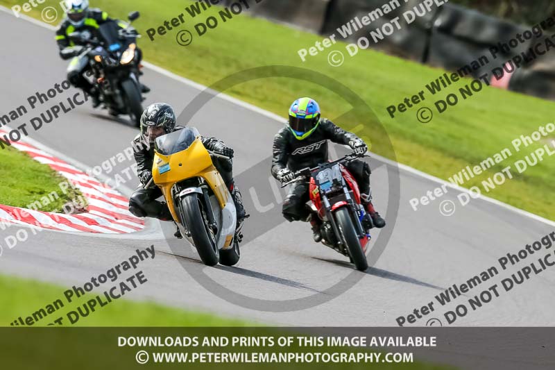 Oulton Park 21st March 2020;PJ Motorsport Photography 2020;anglesey;brands hatch;cadwell park;croft;donington park;enduro digital images;event digital images;eventdigitalimages;mallory;no limits;oulton park;peter wileman photography;racing digital images;silverstone;snetterton;trackday digital images;trackday photos;vmcc banbury run;welsh 2 day enduro